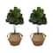3ft. Artificial Fiddle Leaf Fig Tree With Handmade Cotton & Jute Woven Planter Set DIY Kit